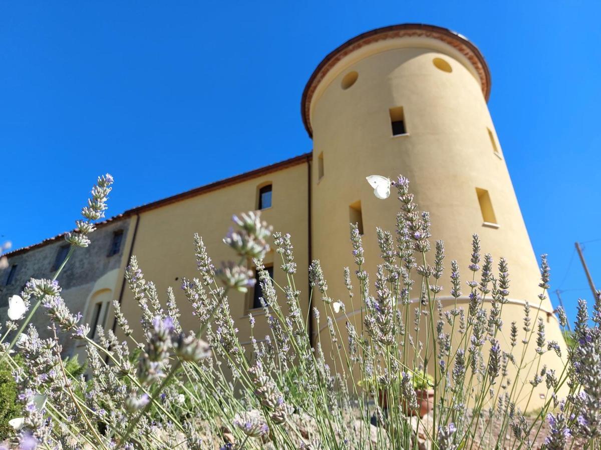 Fattoria La Campigliola Apartamento Exterior foto